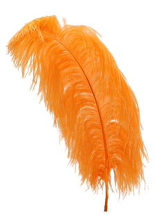 H60 Orange