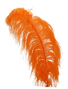 H61 Orange