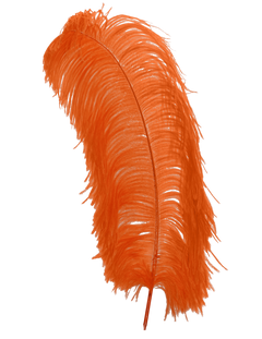 H62 Orange