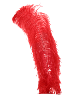 H71 Red