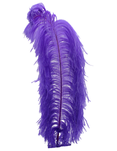 H76 Purple