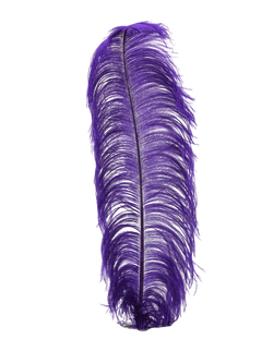 H84 Purple