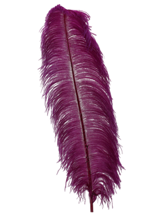 H102 Wine