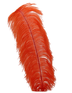 H104 Burnt Orange