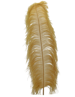 H105 Antique Gold
