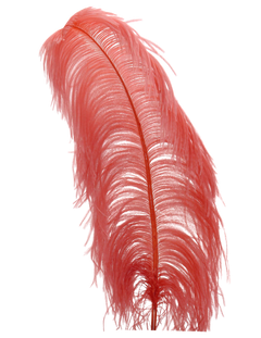 H108 Dark Coral