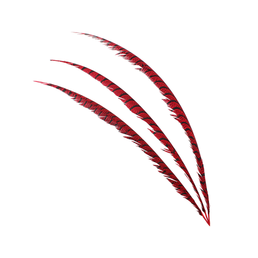 Pheasant Zebra Overdyed 30"+ H72 Red