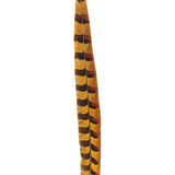 Pheasant Reeves Overdyed 18-20" — H38 Gold