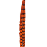 Pheasant Reeves Overdyed 18-20" — H62 Orange