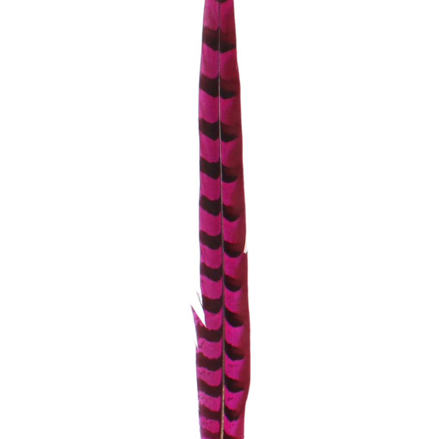 Pheasant Reeves Overdyed 18-20" H69 Hot Pink