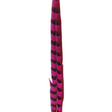 Pheasant Reeves Overdyed 18-20" — H69 Hot Pink