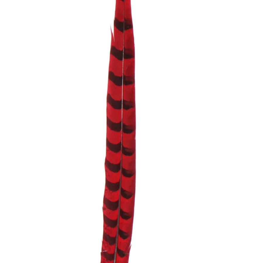Pheasant Reeves Overdyed 18-20" H72 Red