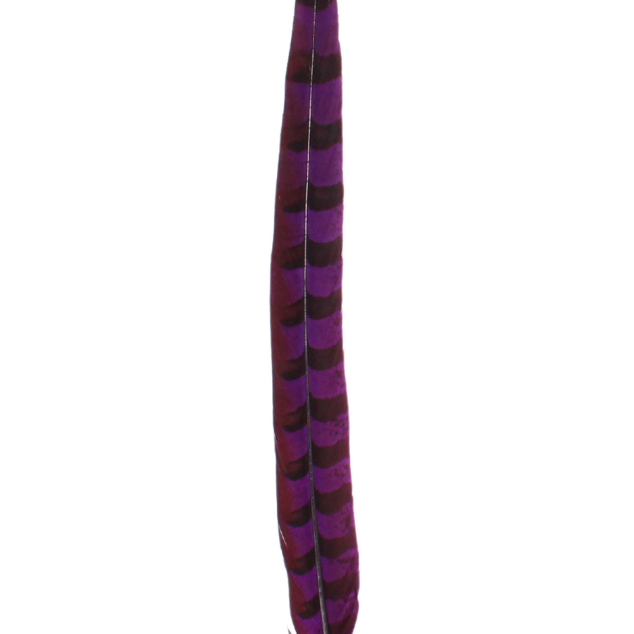 Pheasant Reeves Overdyed 18-20" H75 Purple