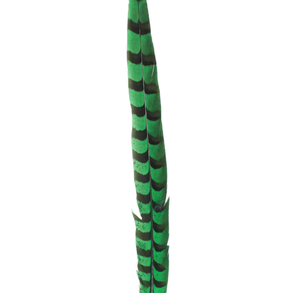 Pheasant Reeves Overdyed 18-20" — H9 Emerald
